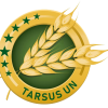 Tarsus